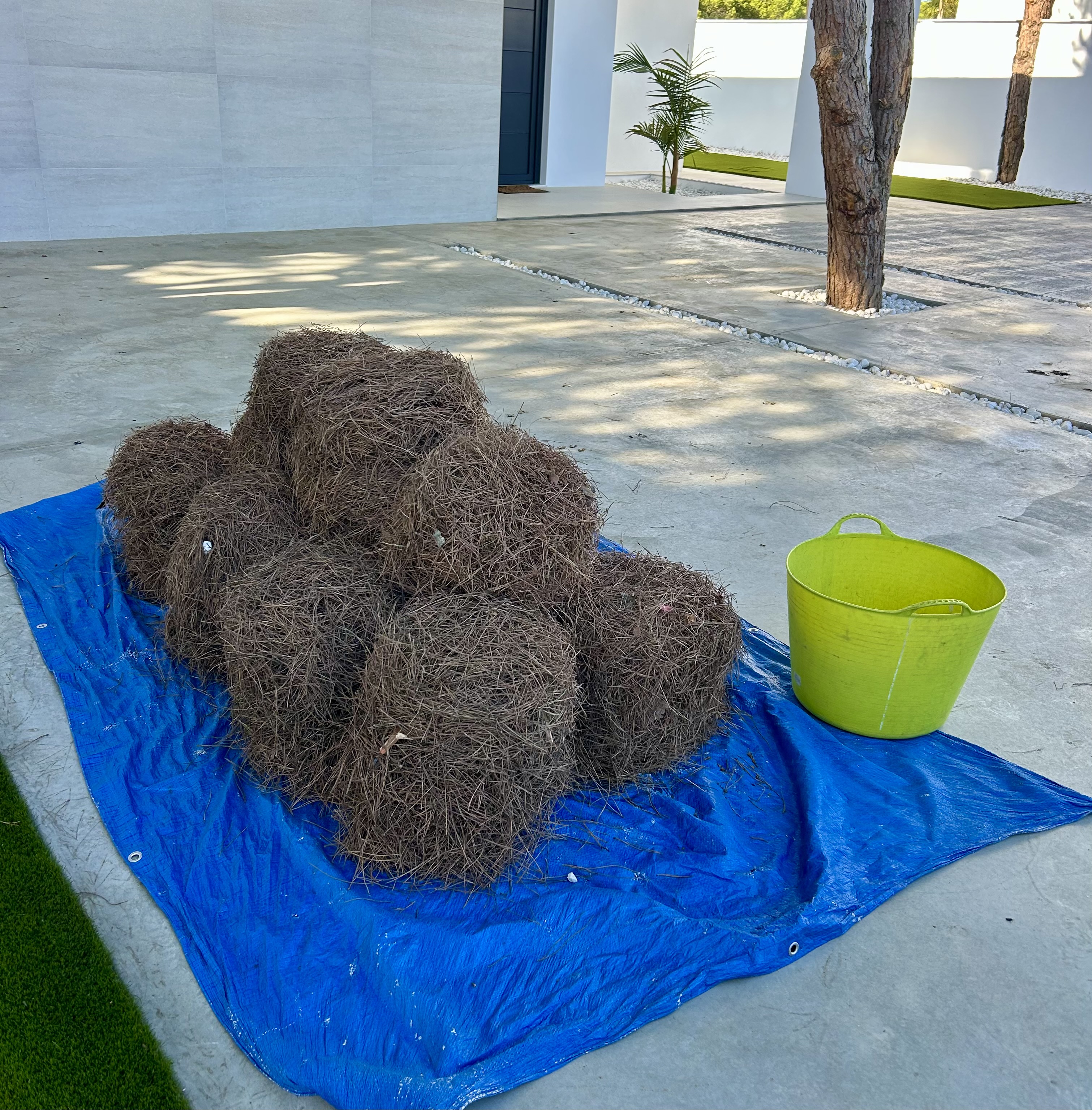 Mantenimiento de jardines en Chiclana